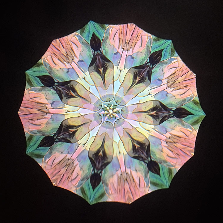 高林千稔_TK7010_メイン3