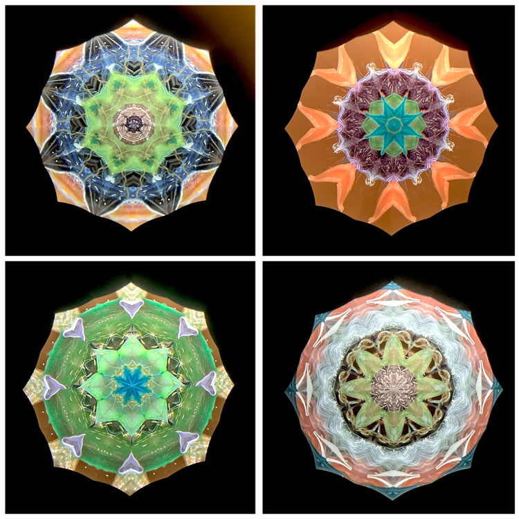 高林千稔_TK7011_1