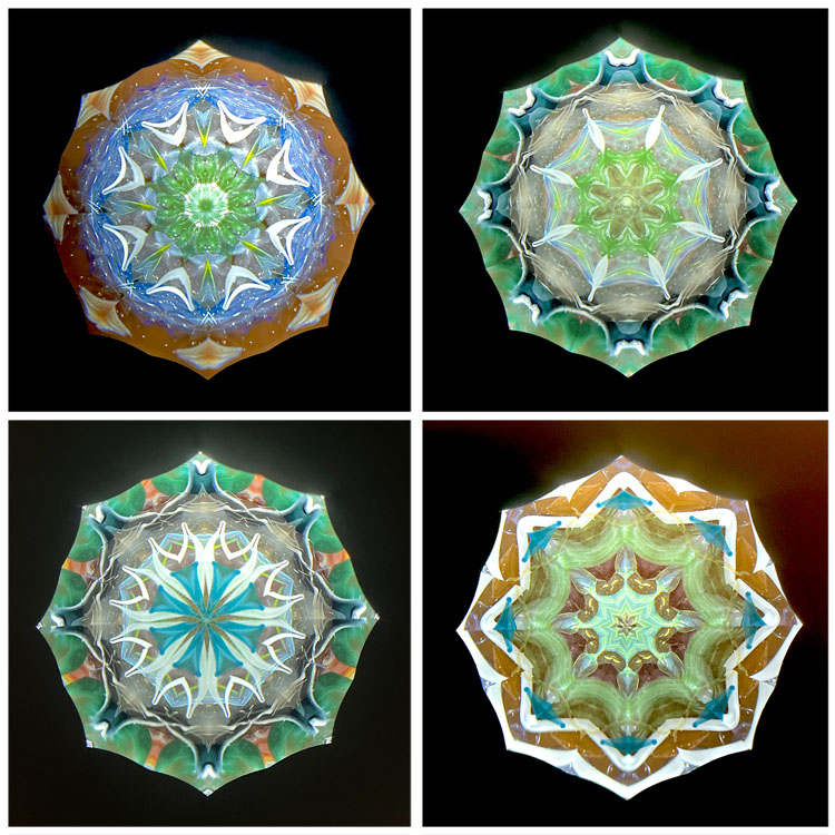 高林千稔_TK7011_2