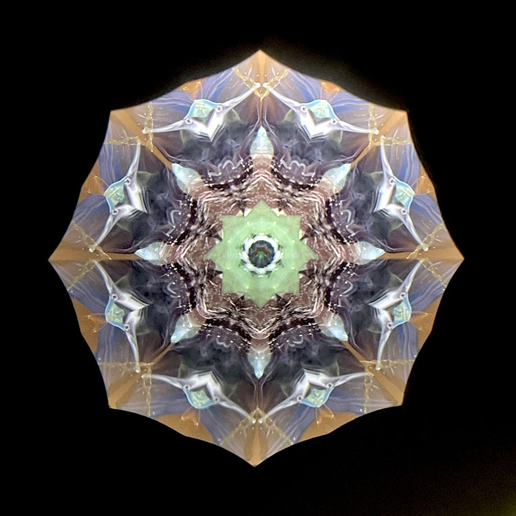 高林千稔_TK7011_メイン1