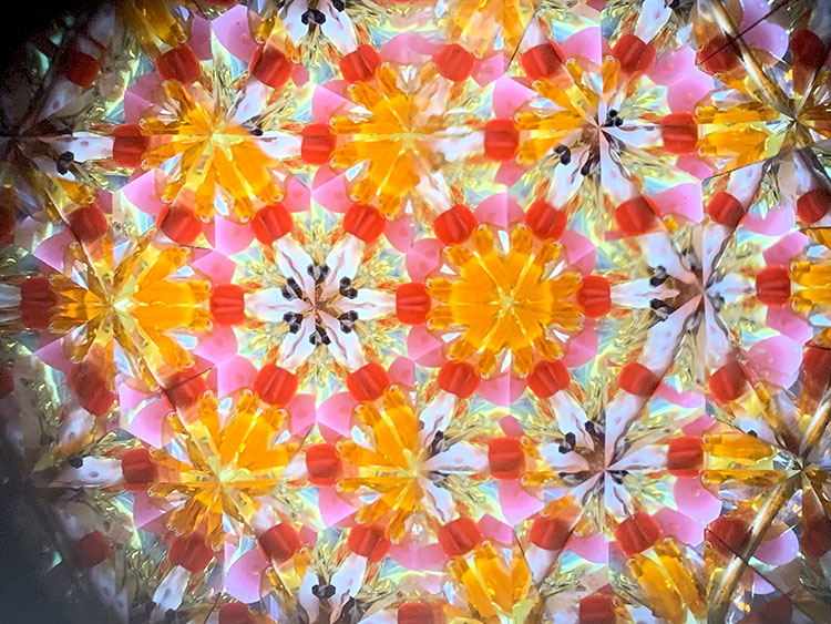 武山_TT5008_レッド_1