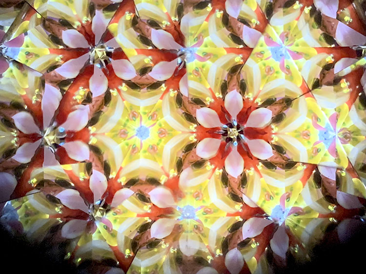 武山_TT5008_レッド_4