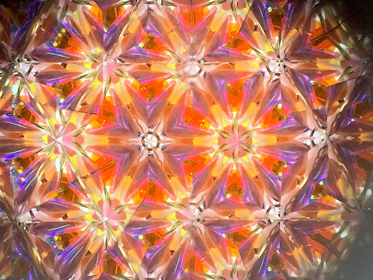 武山_TT5008_レッド_6