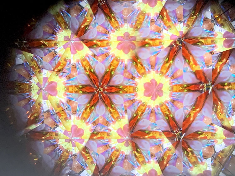 武山_TT5008_レッド_7