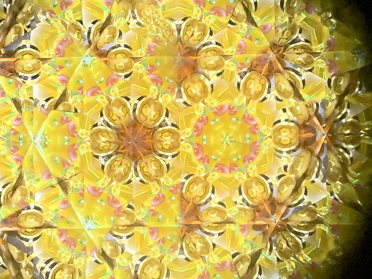 武山_TT5008_イエロー_1