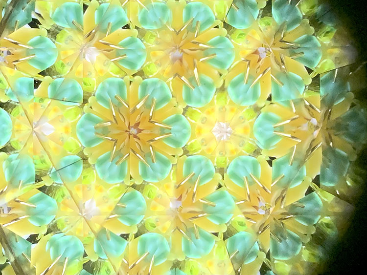 武山_TT5008_イエロー_2