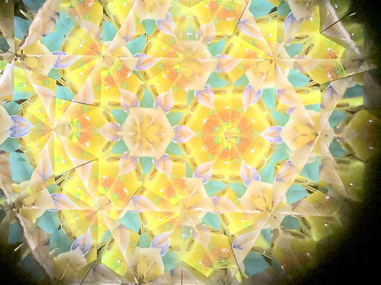 武山_TT5008_イエロー_3