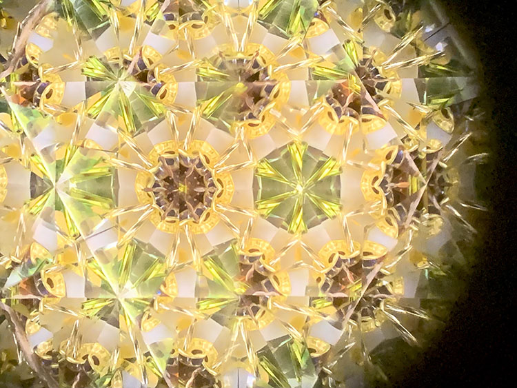 武山_TT5008_イエロー_4