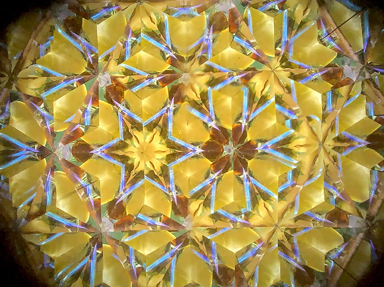 武山_TT5008_イエロー_6