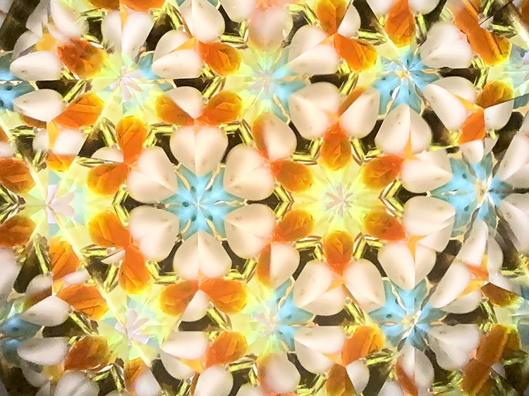 武山_TT5008_イエロー_7