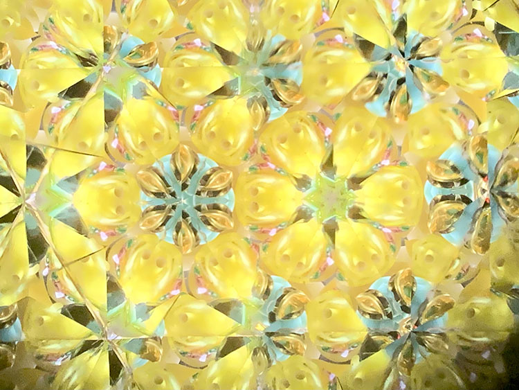 武山_TT5008_イエロー_8