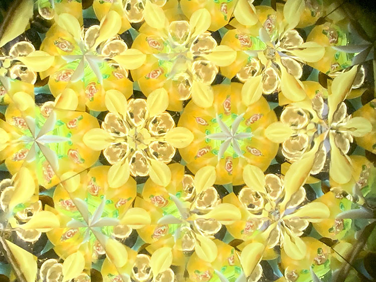 武山_TT5008_メインイエロー