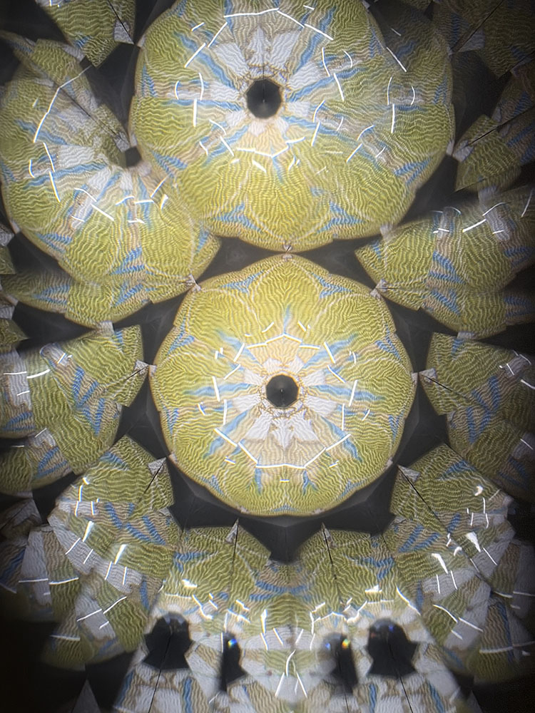 武山_TT6025_5