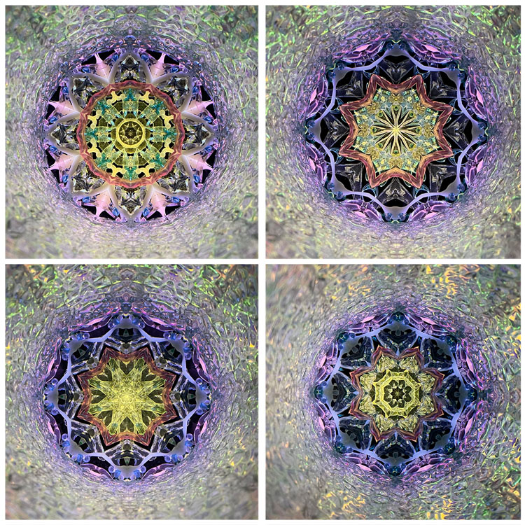 舘川瑞江_TM-6025_1