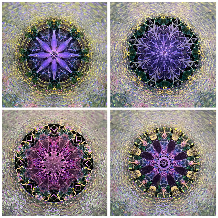 舘川瑞江_TM-6025_3