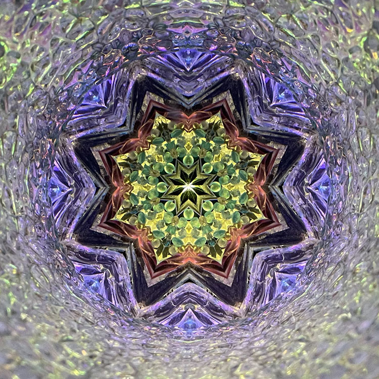 舘川瑞江_TM-6025_メイン3