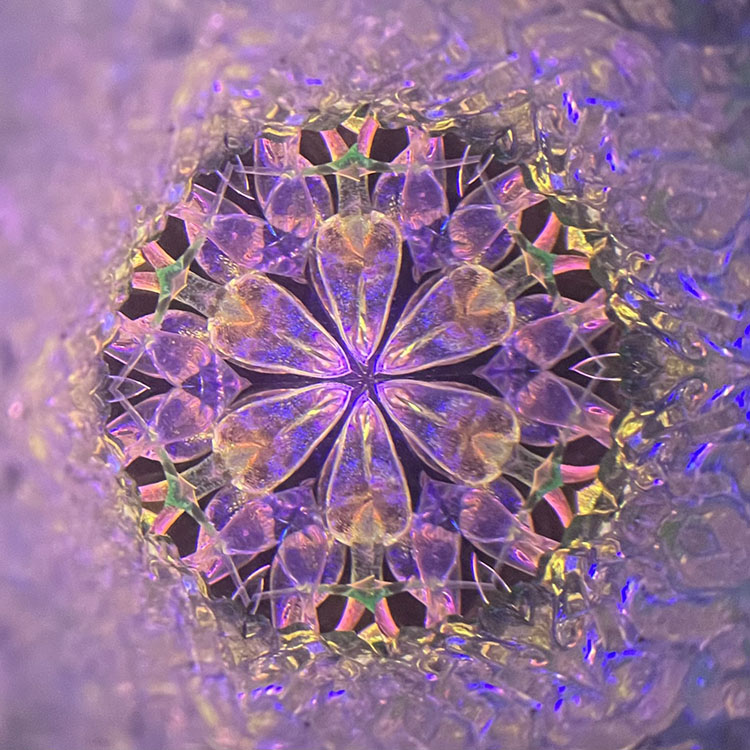 舘川瑞江_TM-7012_メイン2