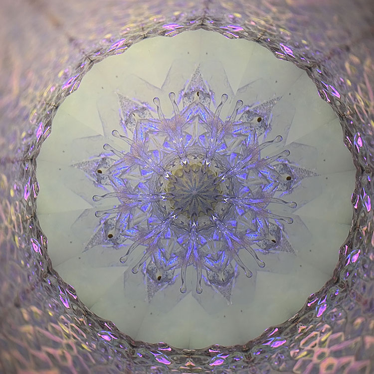 舘川瑞江_TM7013_メイン