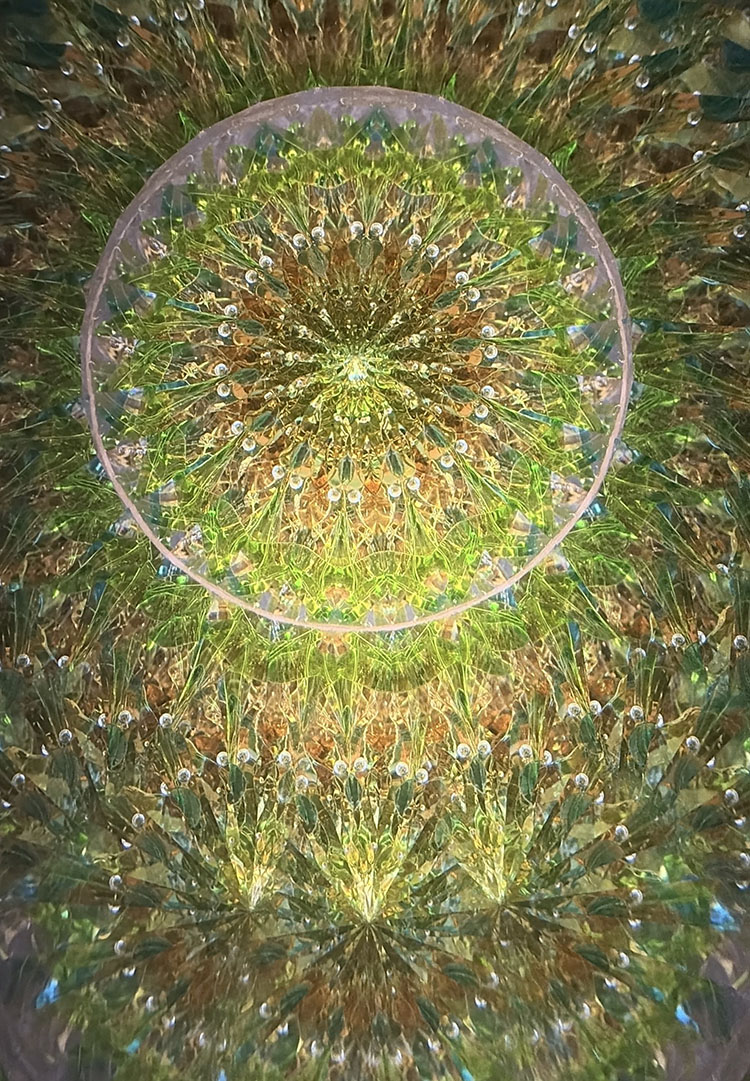 舘川瑞江_TM7015_1