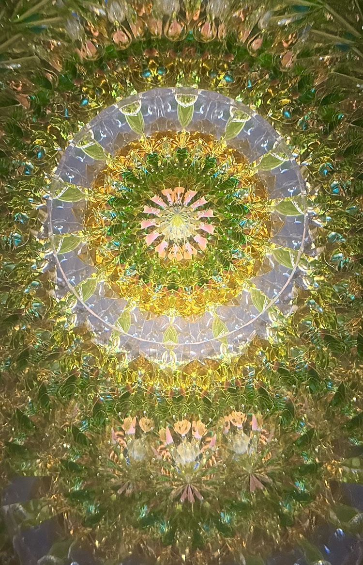 舘川瑞江_TM7015_1