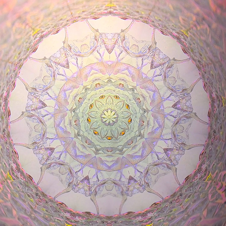 舘川瑞江_TM7018_メイン