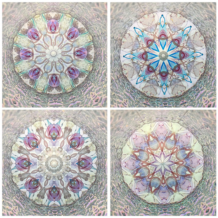 舘川瑞江_TM7019_3