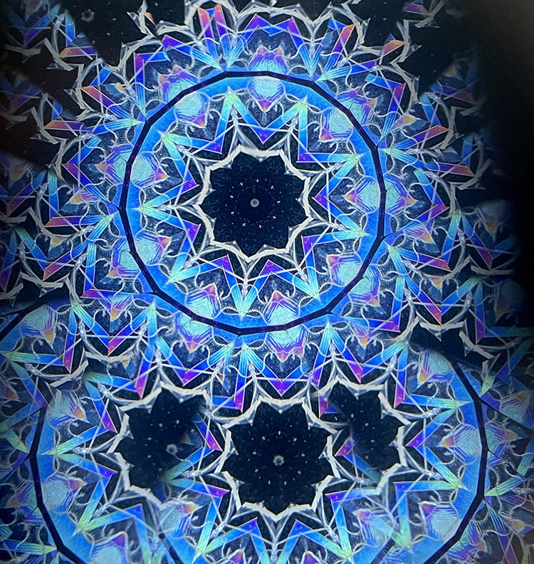 若林_WH7003_メイン