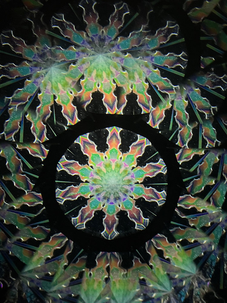 若林_WH7006_1