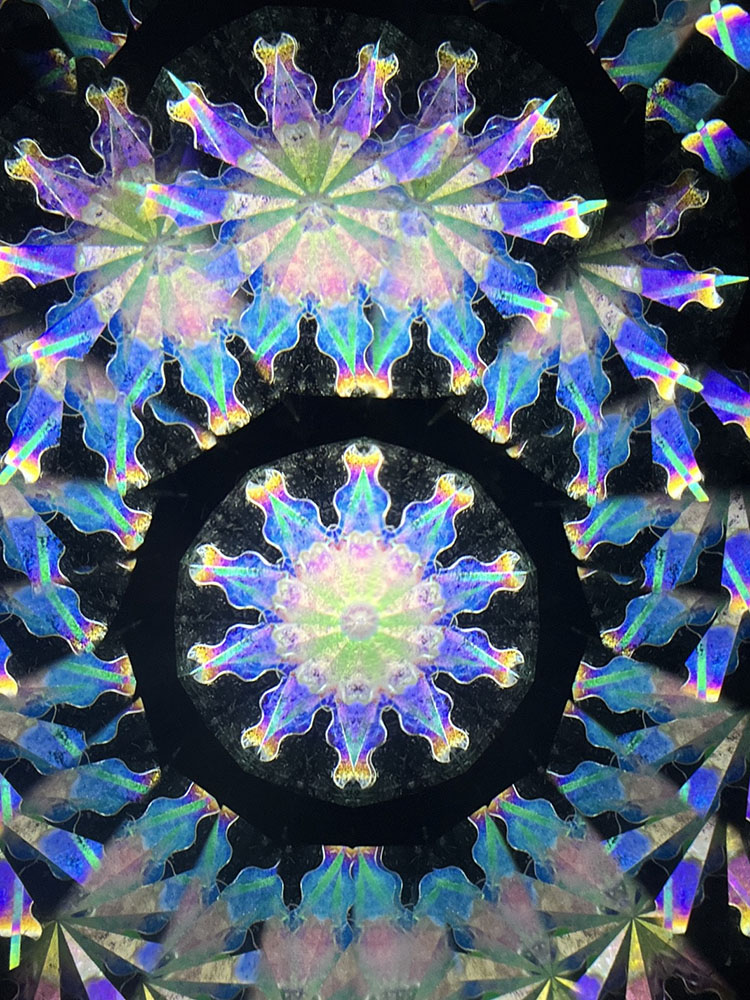 若林_WH7006_10