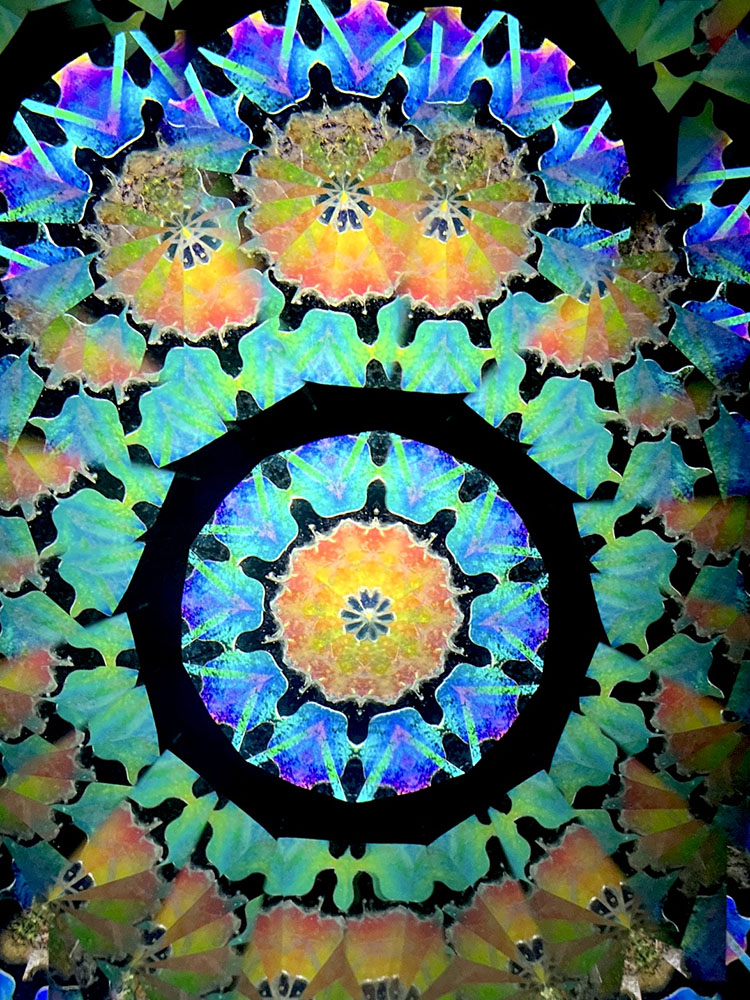 若林_WH7006_11
