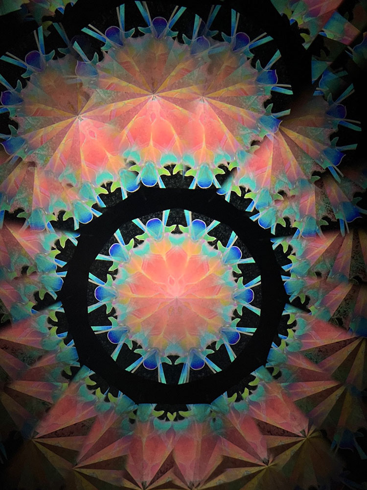 若林_WH7006_13