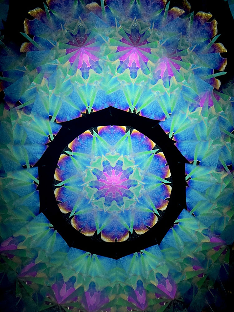 若林_WH7006_15