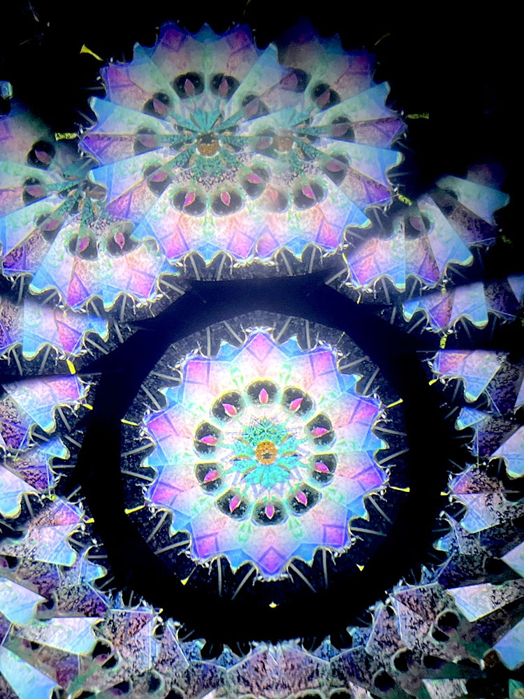 若林_WH7006_17