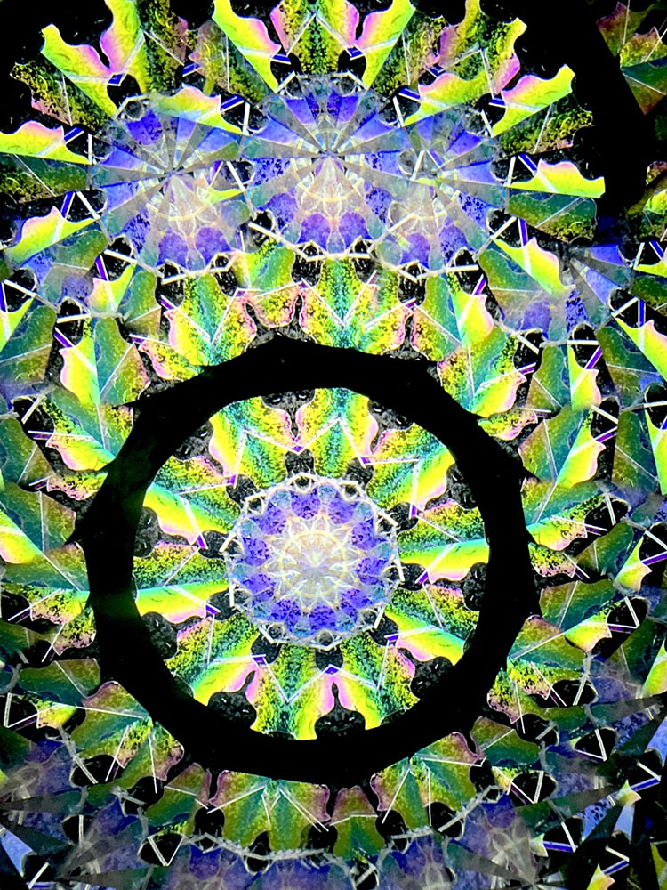 若林_WH7006_18