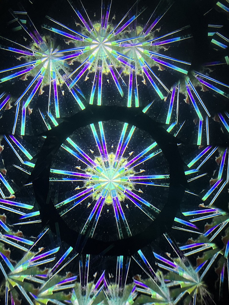 若林_WH7006_2