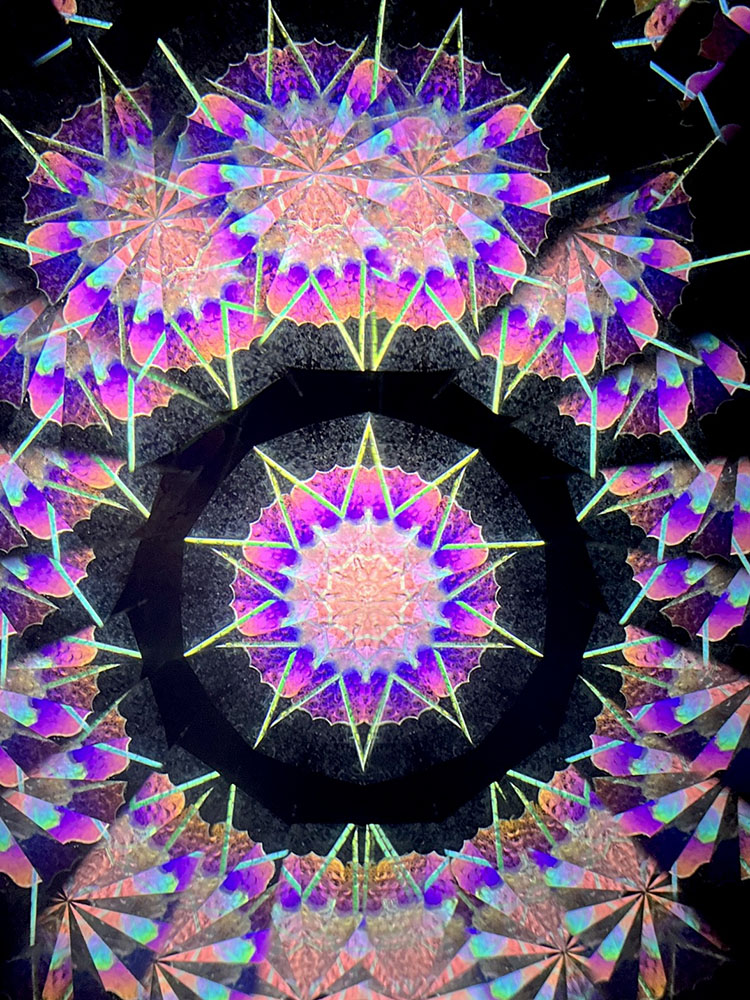 若林_WH7006_5