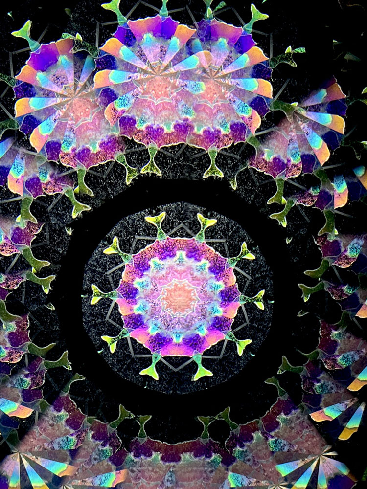 若林_WH7006_7