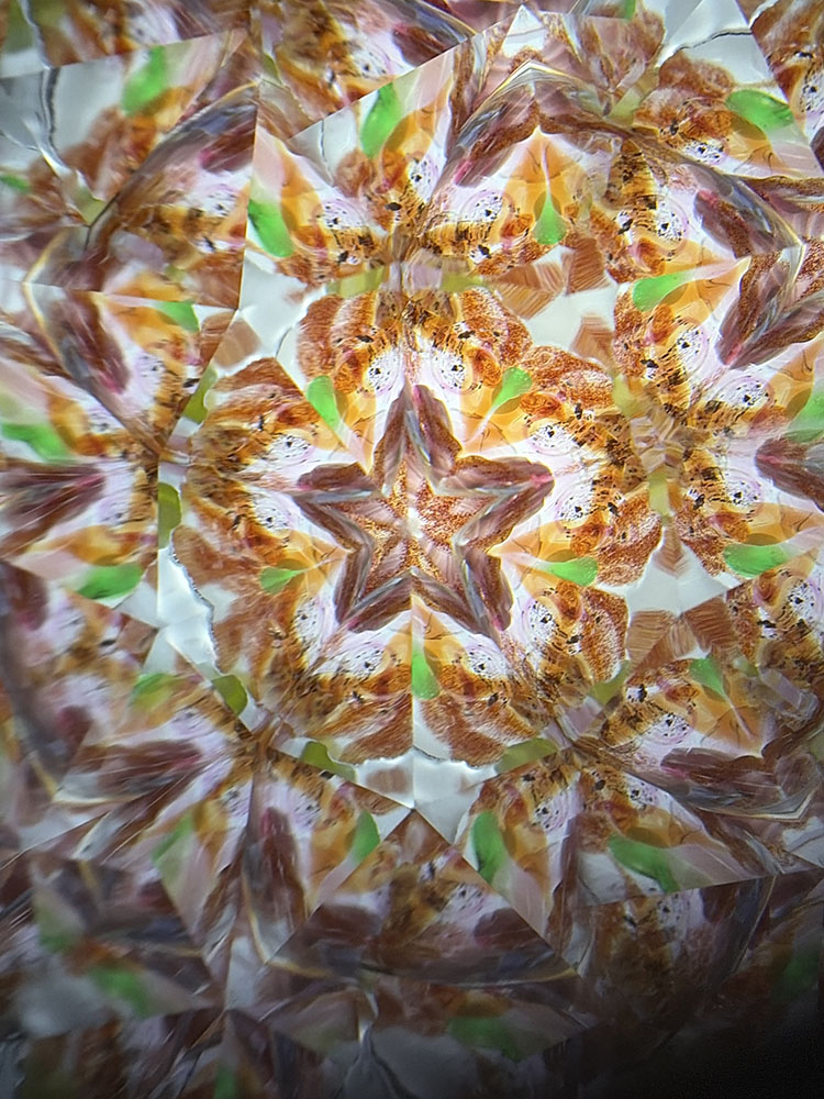 山下絢子_PH7070_14