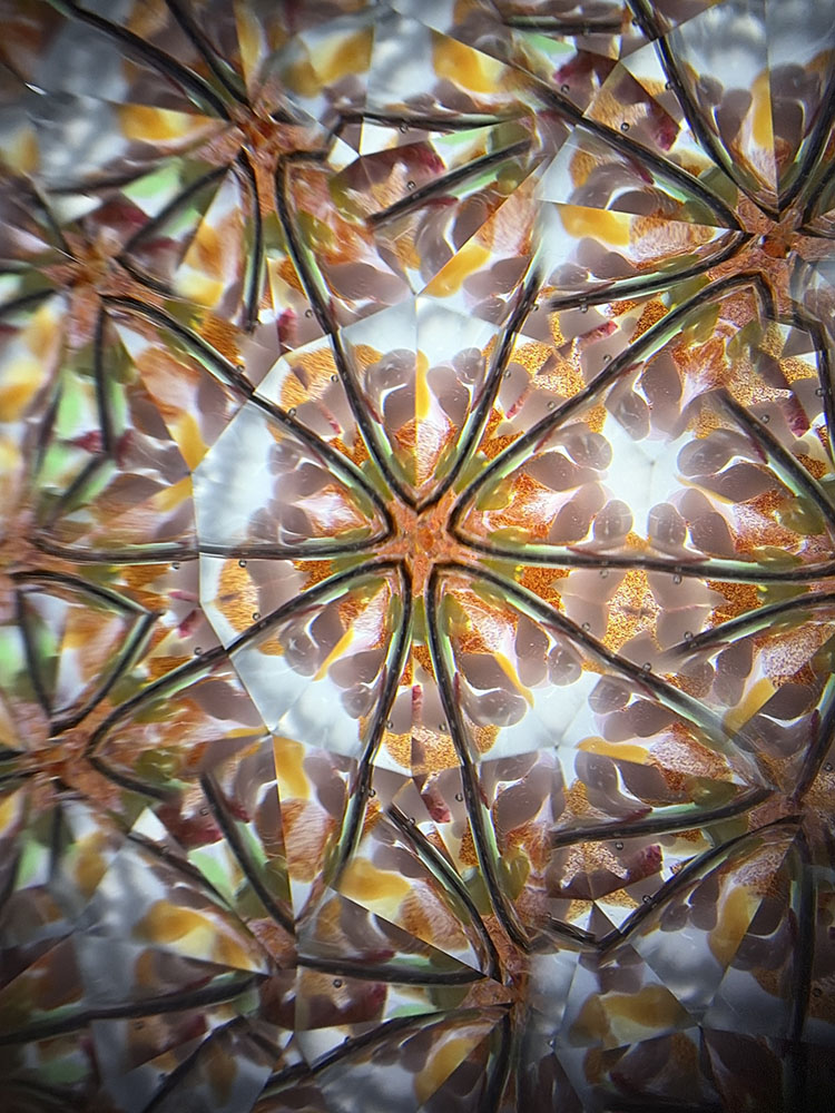 山下絢子_PH7070_17