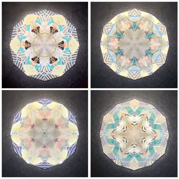 吉田勝次_YK4012_4