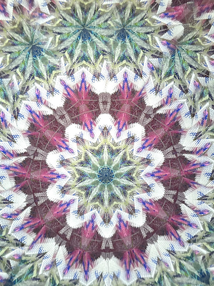 吉田勝次_YK7003_21