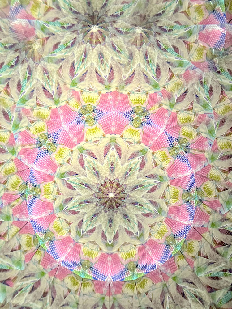 吉田勝次_YK7003_4