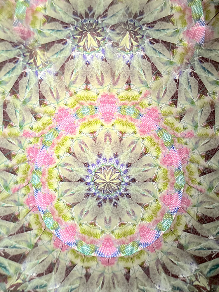 吉田勝次_YK7003_7