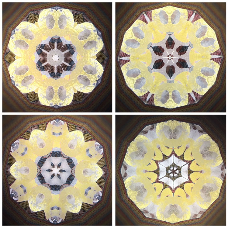 吉田勝次_YK7004_1