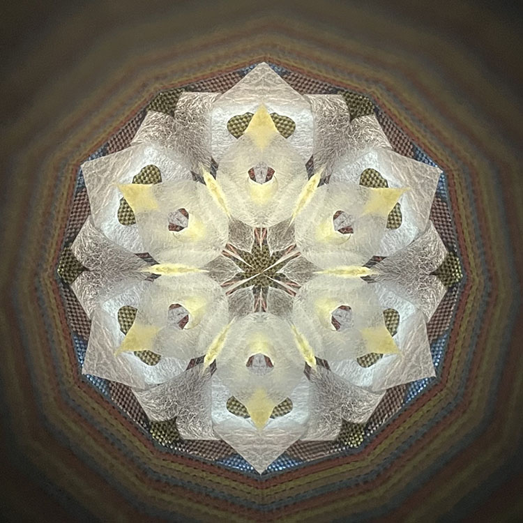 吉田勝次_YK7005_メイン2